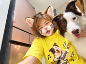 愛犬の写真と