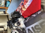 可愛いウェアで！