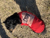 思いどうりに出来ました