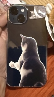 家族が喜んでました