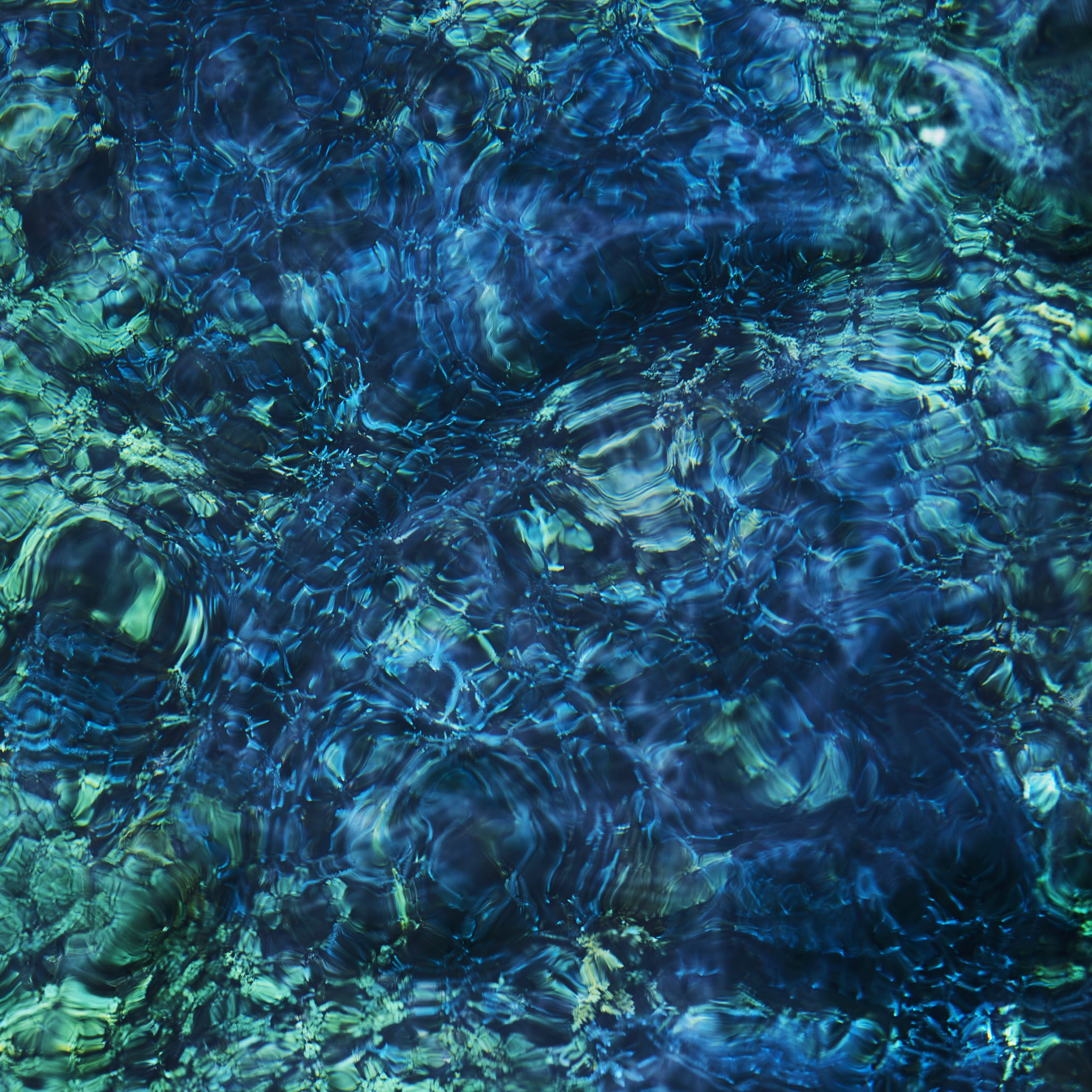 青葉市子『Luminescent Creatures』発売記念！TOWER VINYL