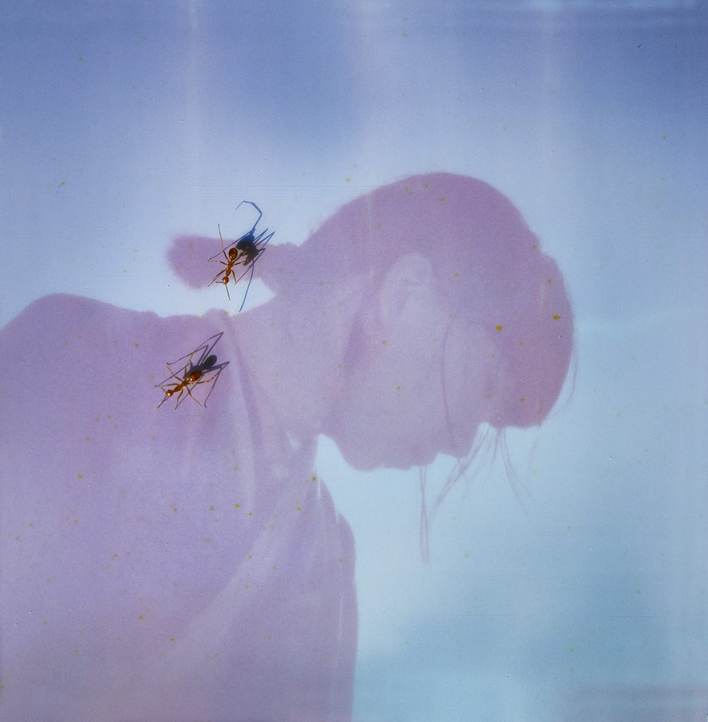 青葉市子『Luminescent Creatures』発売記念！TOWER VINYL