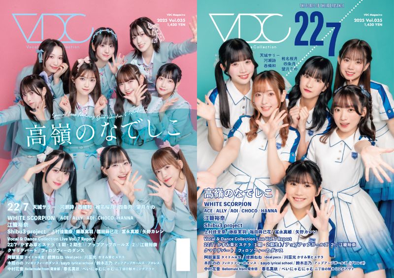 第16回 VDC Magazine パネル展 ―VDC Magazine 035― 6/27(金)より