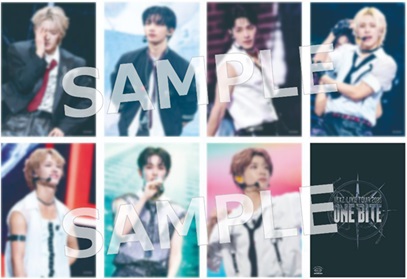 NEXZ】LIVE Blu-ray『NEXZ LIVE TOUR 2025 “One Bite” in 日本武道館