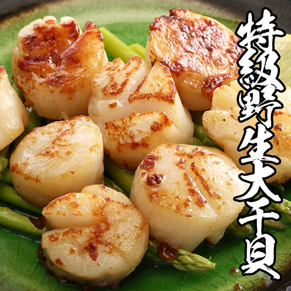 特級野生大干貝 1包組500g±10%
