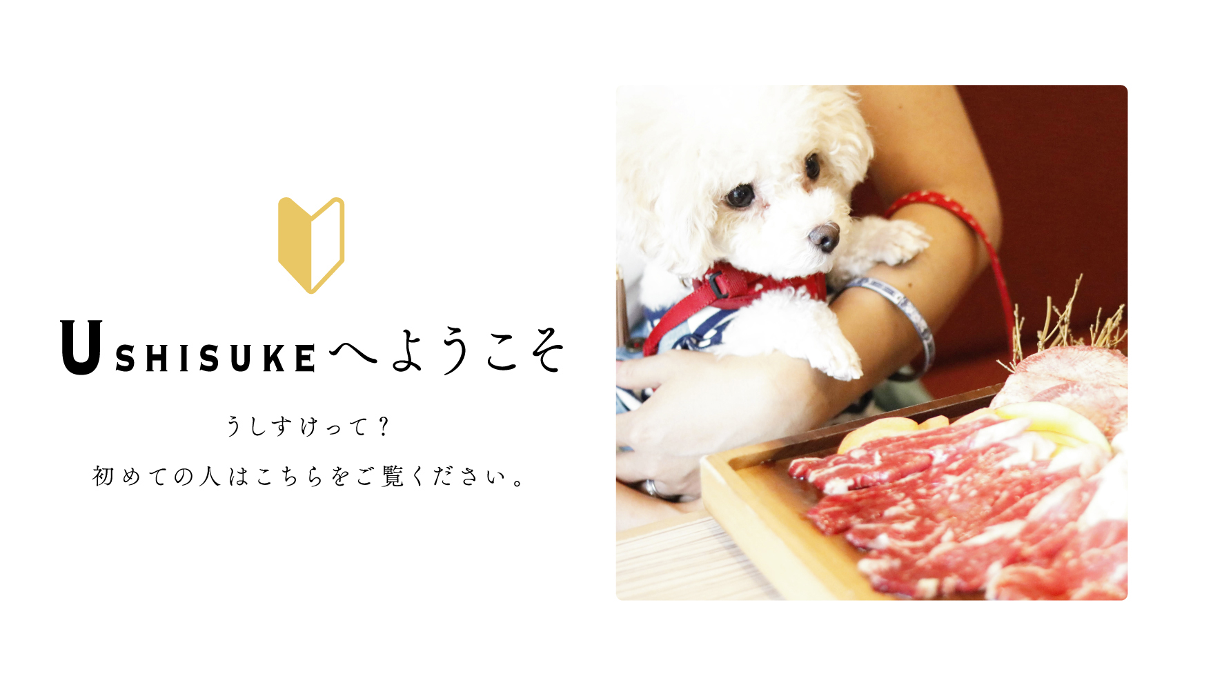 和味焼肉 うしすけ本店