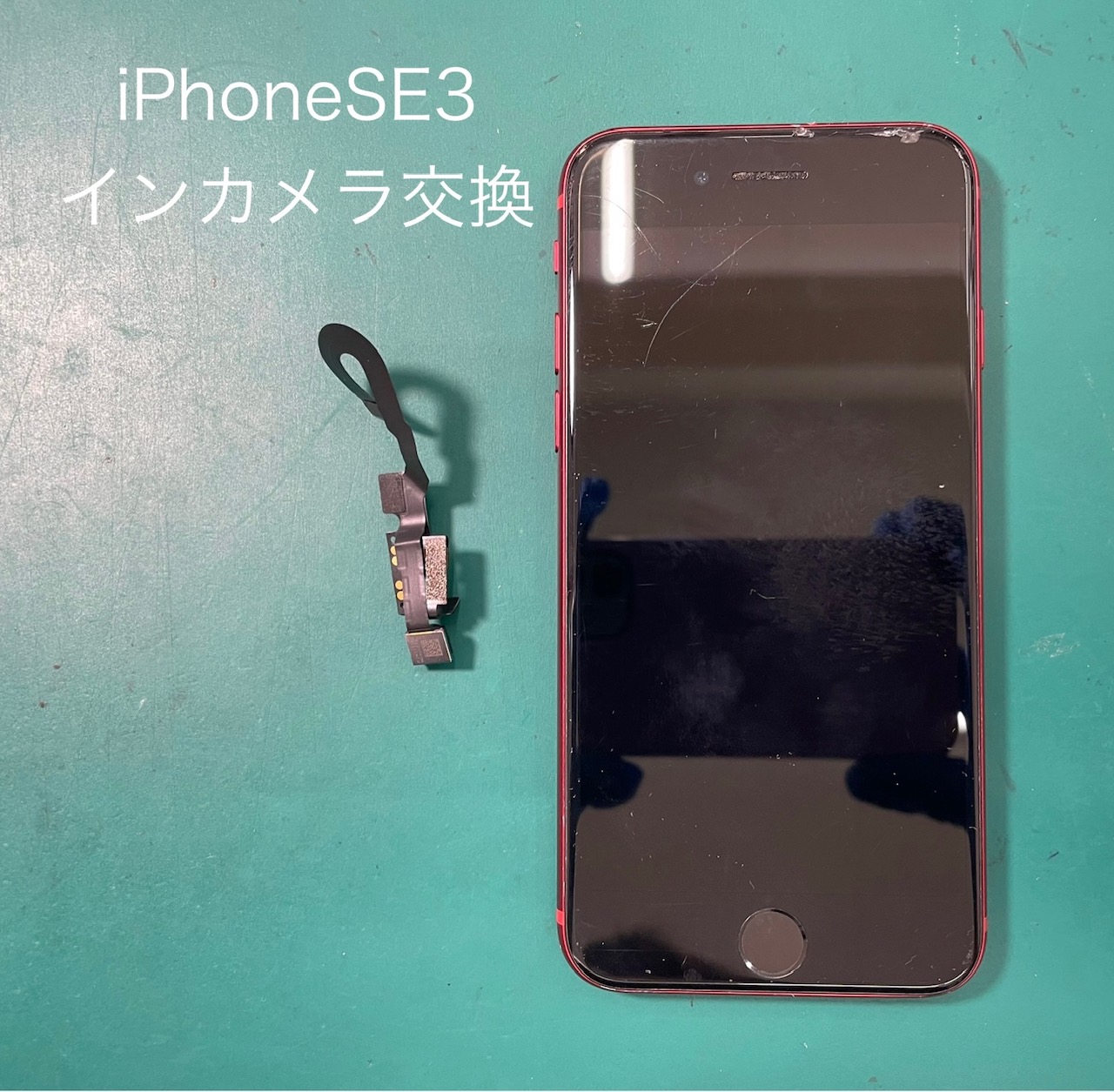 iPhoneSE3（アイフォン）のインカメラ交換はスマホ修理工房　ジョイフル本田宇都宮店へご相談ください。