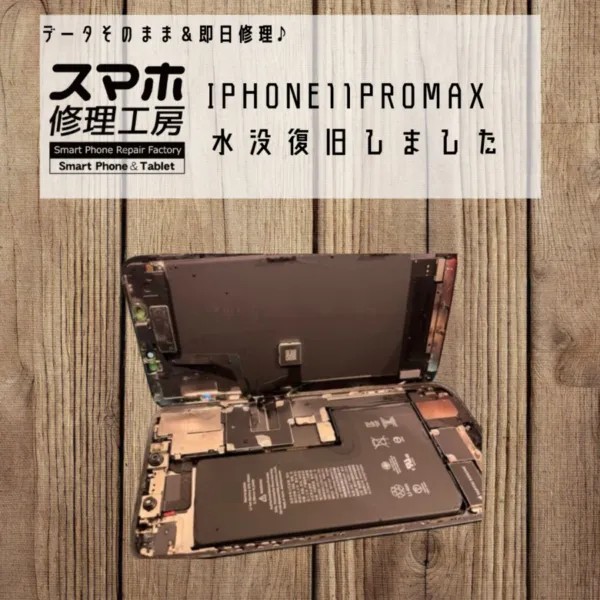 猛暑のプールでiPhone11 Pro Maxが水没…防水ケースを過信した結果