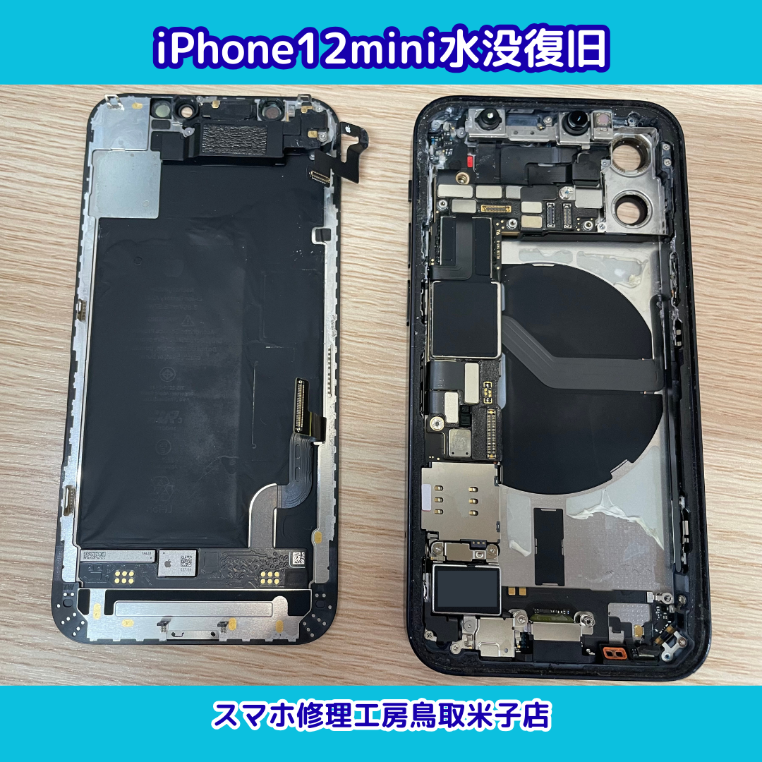 iphone12mini水没復旧