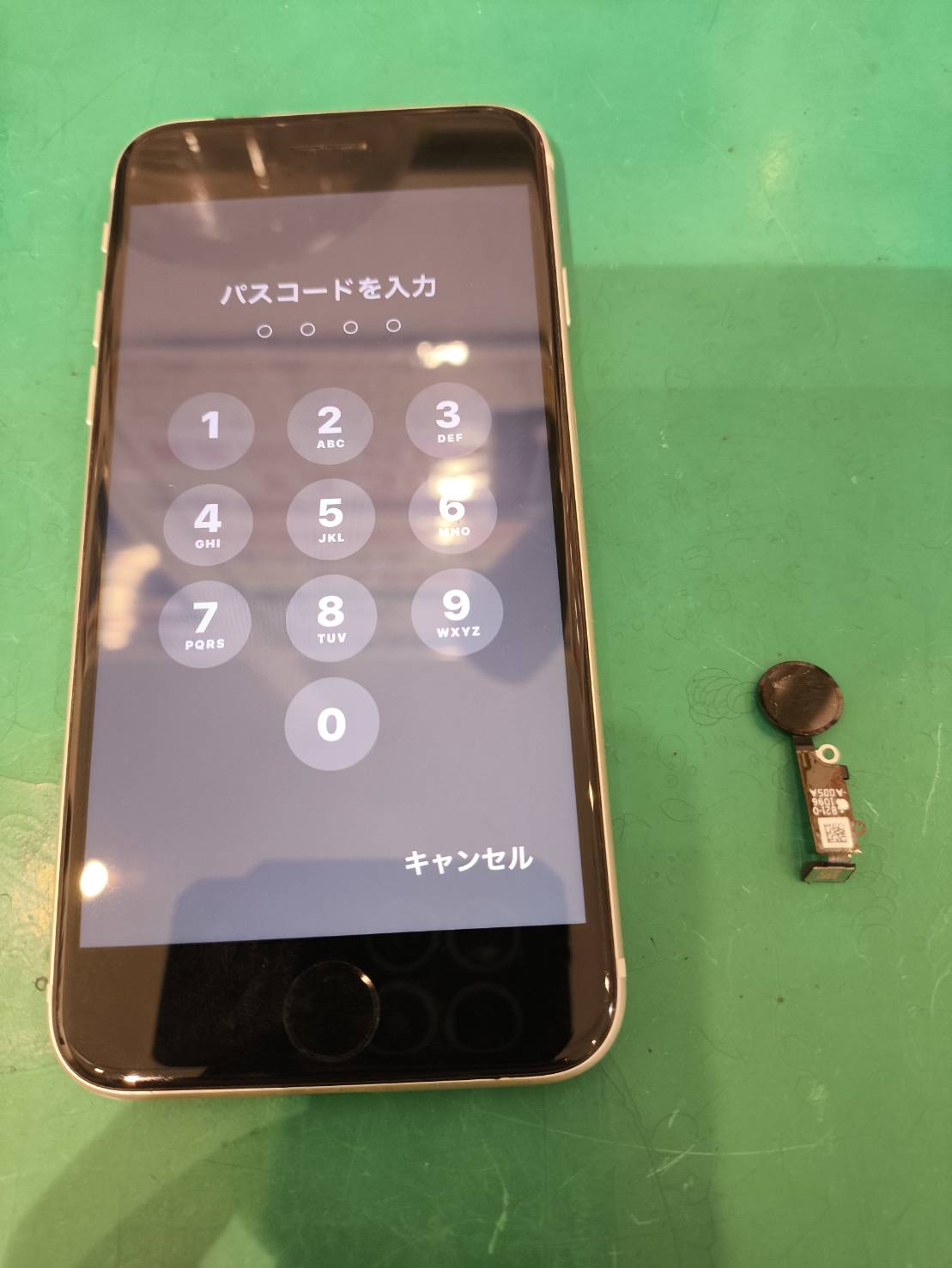 iPhoneSE3のホームボタン交換を行いました！【スマホ修理工房新百合丘オーパ店】