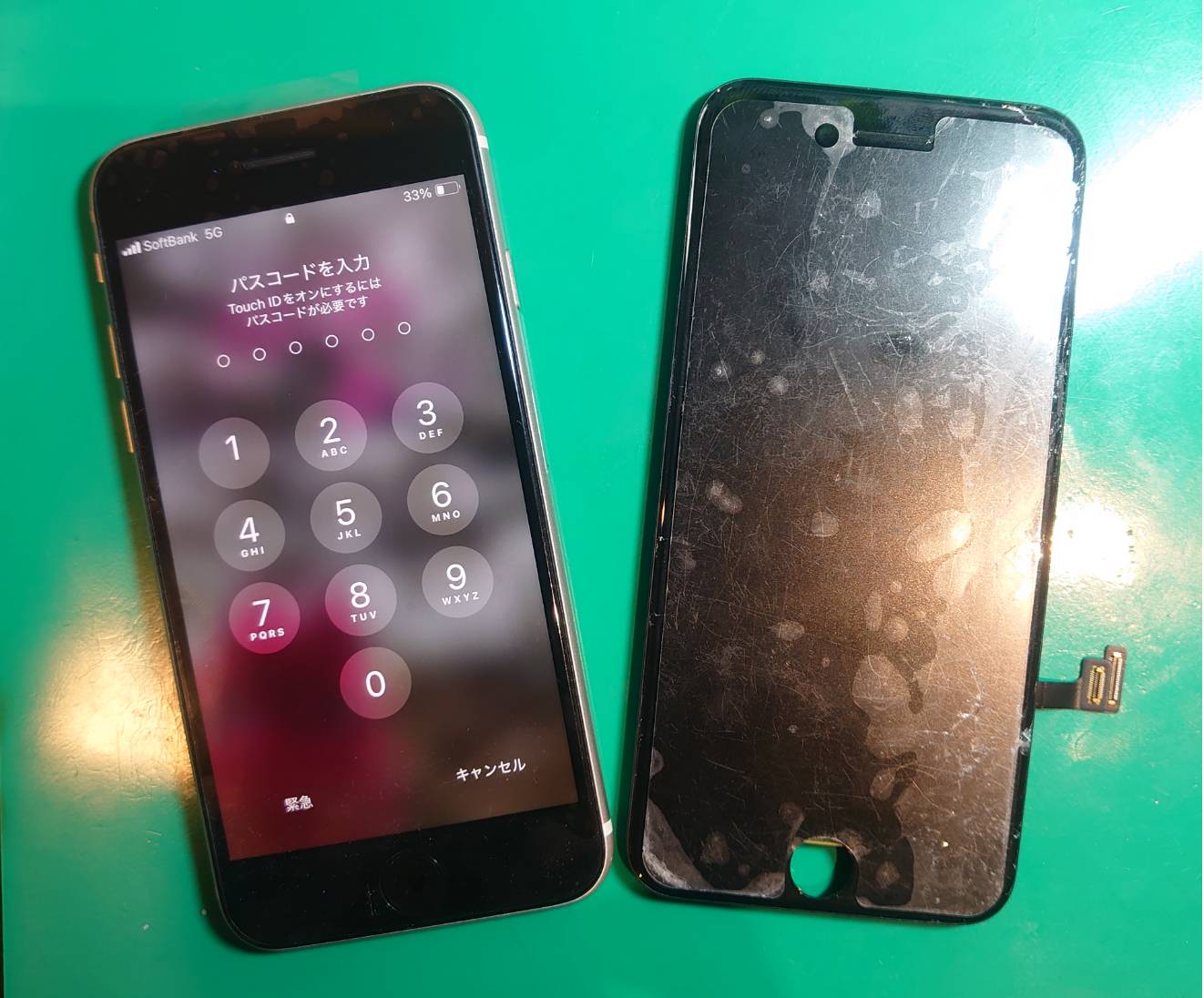 iPhoneSE3の画面交換を行いました！！【スマホ修理工房 調布パルコ店】