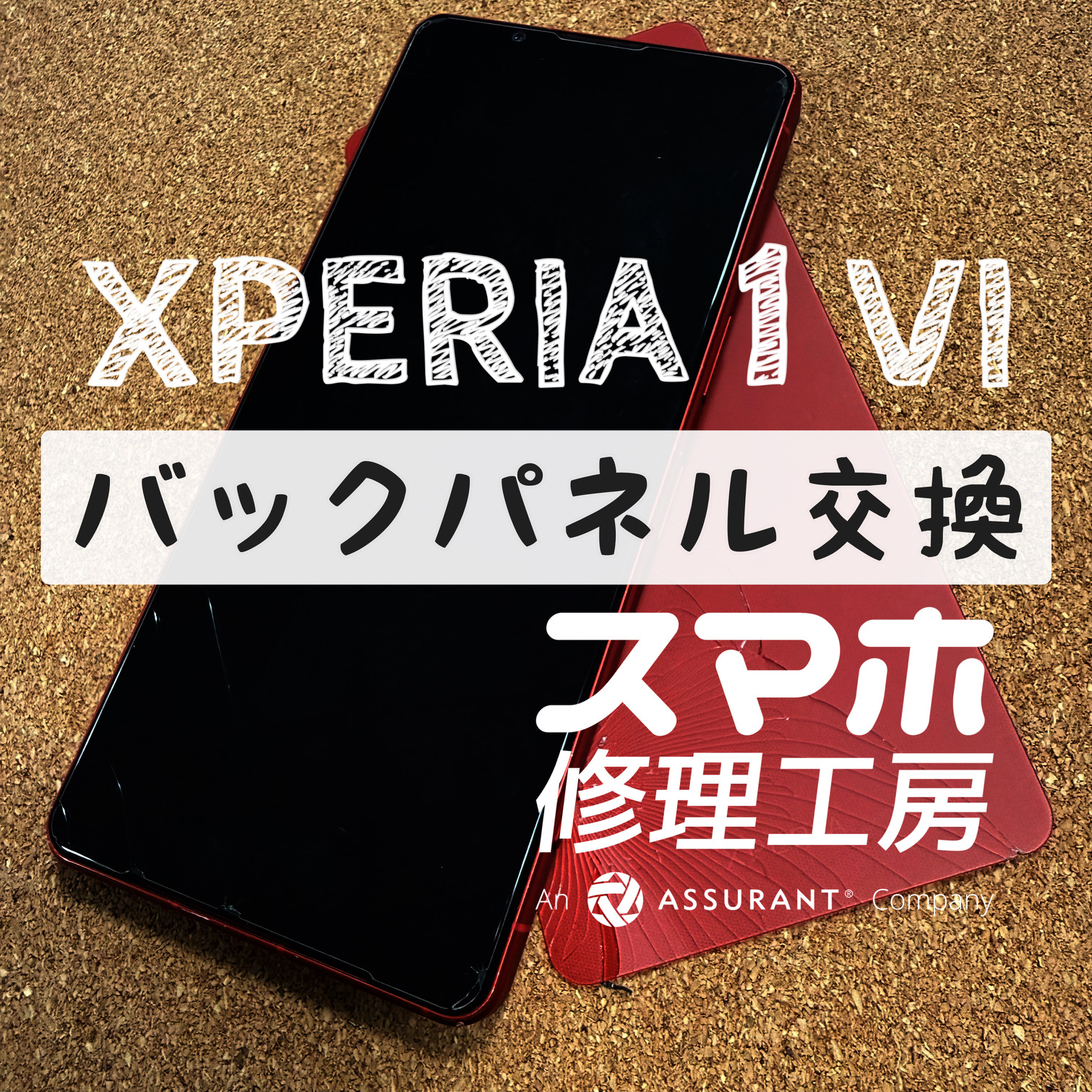 落下で背面がバキバキに…！Xperia 1 Ⅵのバックパネルを交換しました！【スマホ修理工房イオン飯田店】