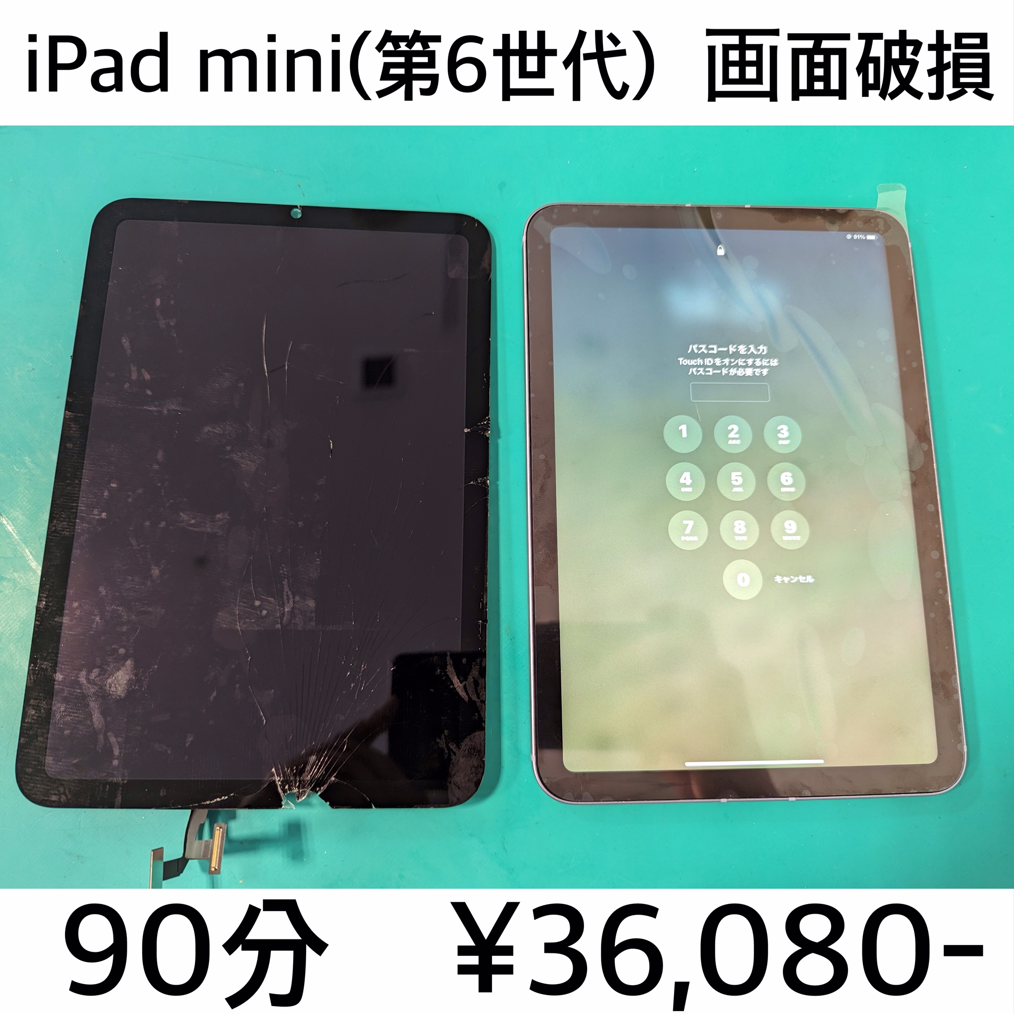 京都府長岡京市よりご来店！！ iPad mini(第6世代) (アイパッドミニ6) 画面交換修理依頼(^^♪