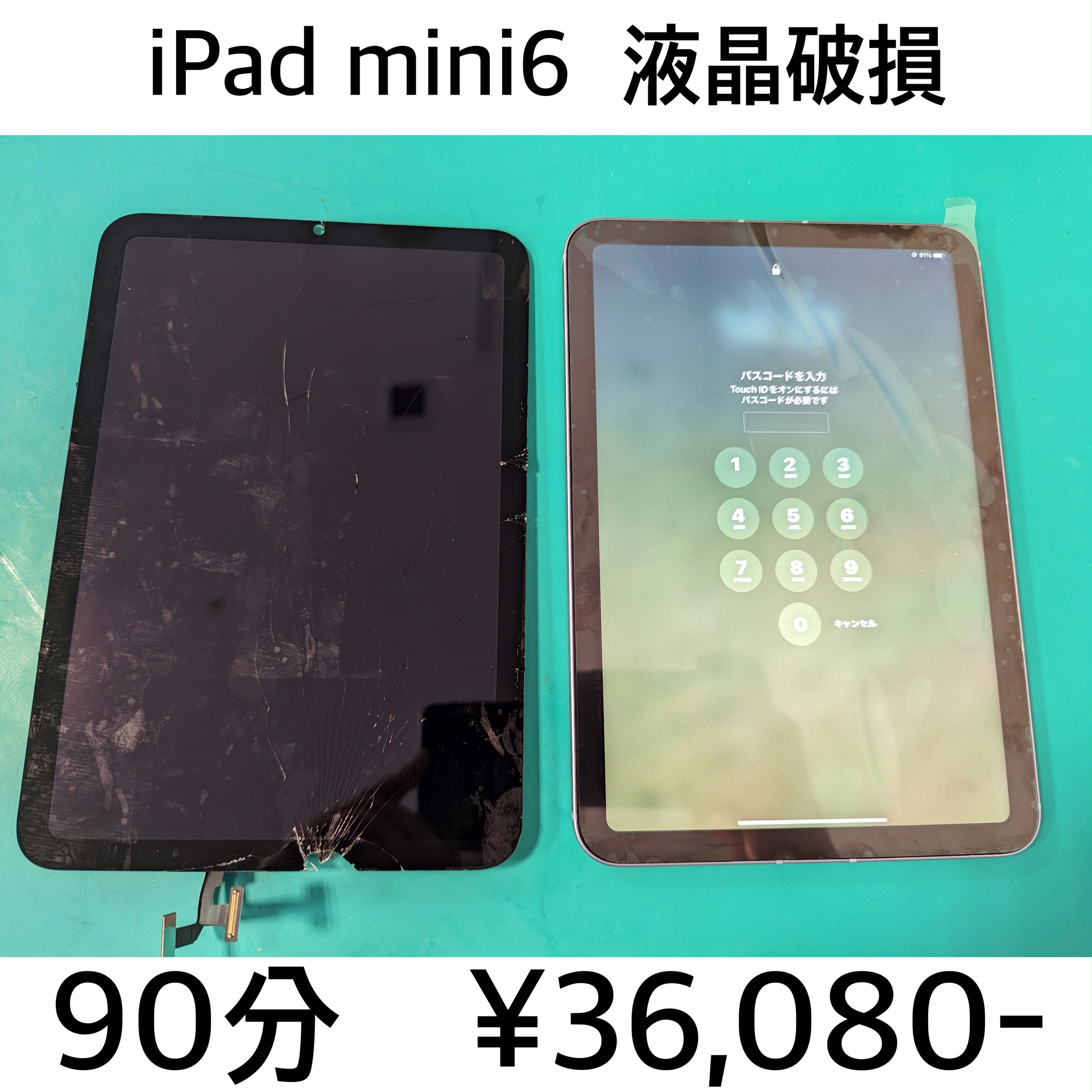 京都府向日市よりご来店！！ iPad mini6 (アイパッドミニ6) 液晶破損交換修理依頼(^^♪