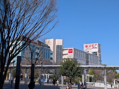 こんにちは港北TOKYU.S.C 店です！