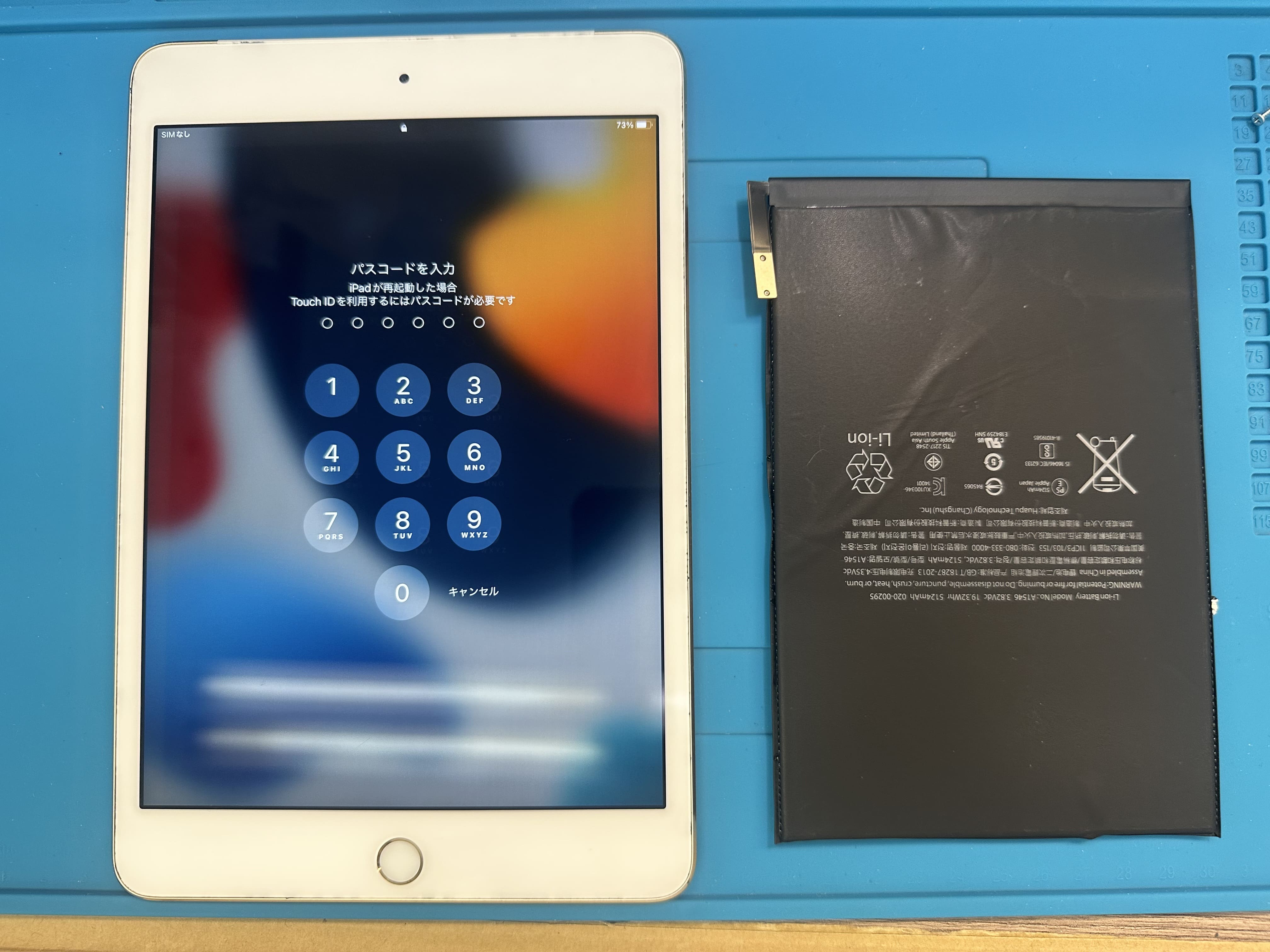 【iPad mini 4】iPadが起動しない、充電されない時はスマホ修理工房カインズ前橋吉岡店へ！