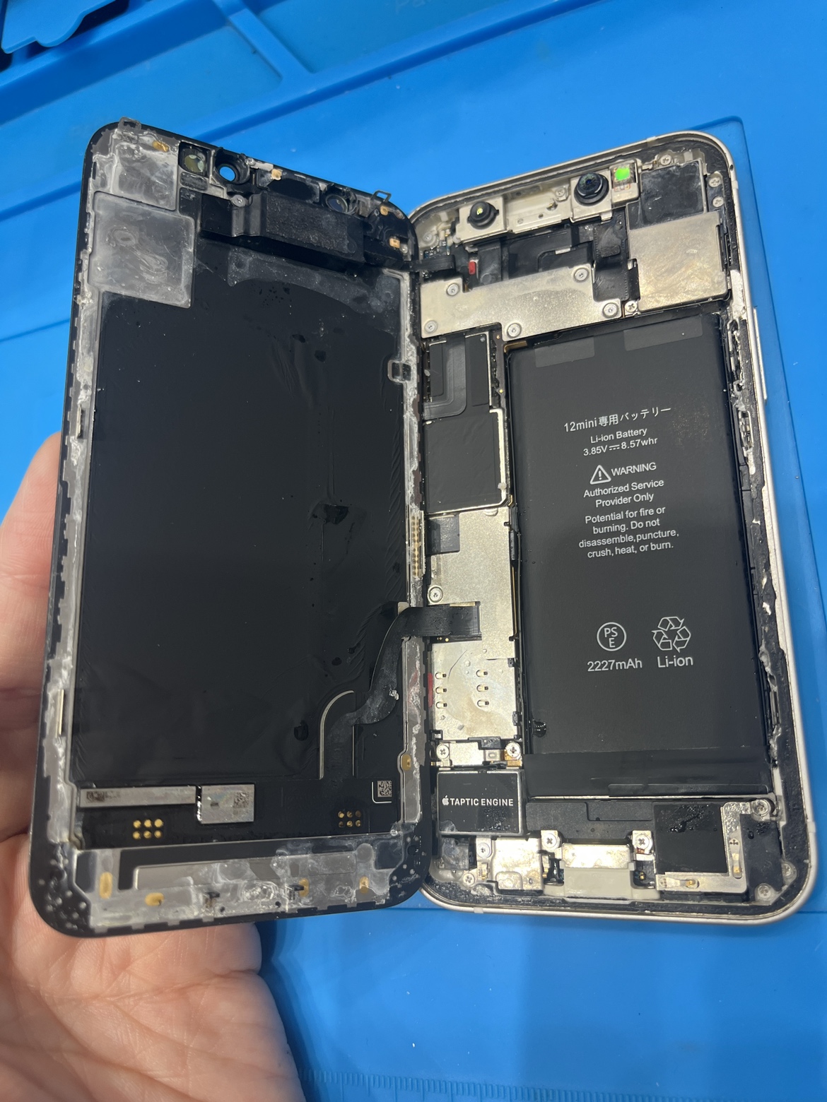 海でスマホが水没！電源は入るけど大丈夫？湘南エリアで増えるiPhone水没トラブルを解説