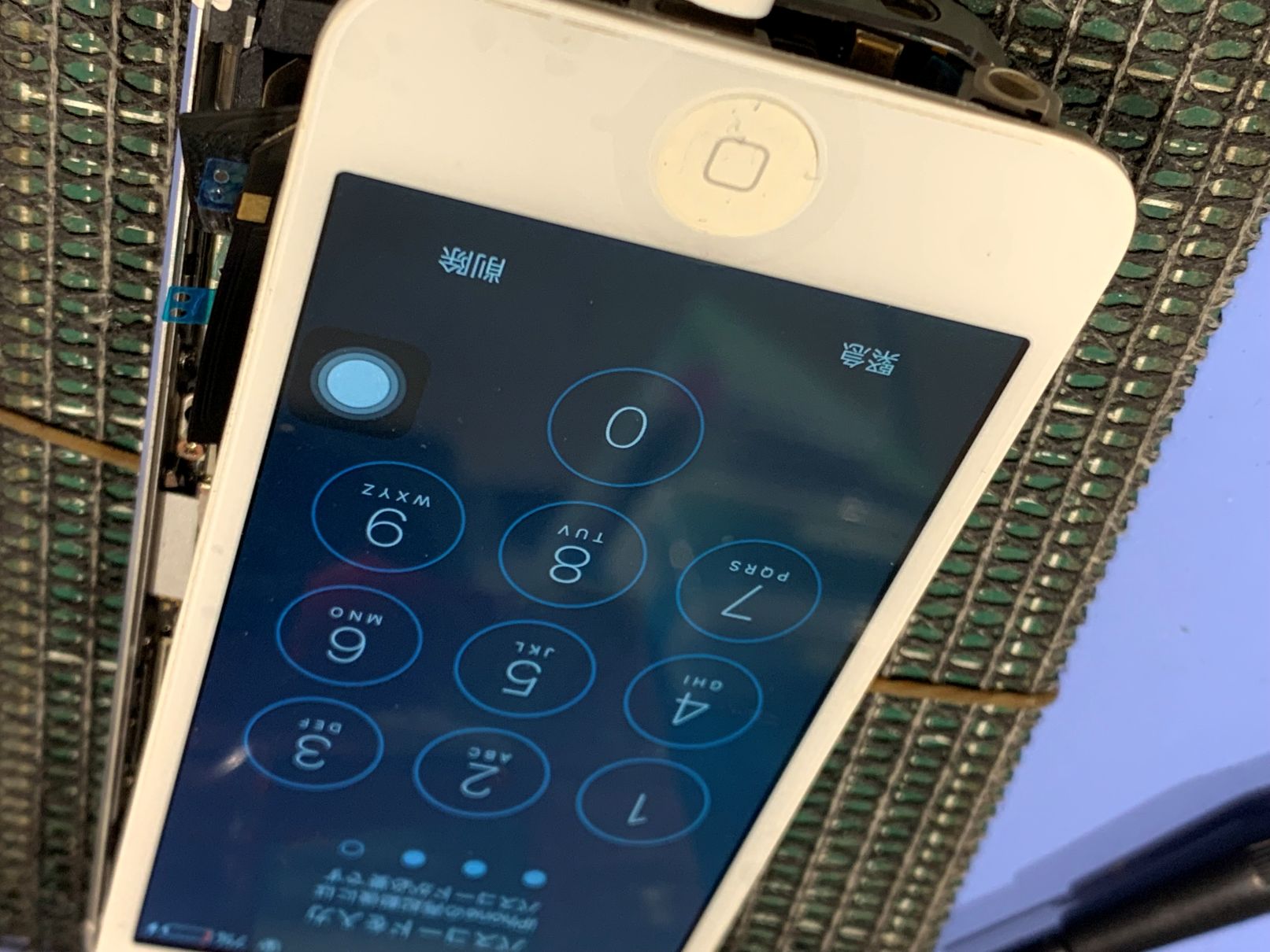 昔つかっていたiPhone5 データを確認したい / 足立区からご来店【スマホ修理工房フレスポ八潮店】