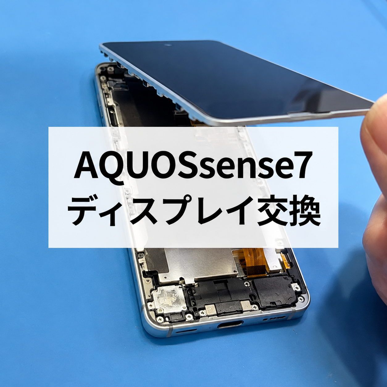 AQUOS sense7の画面交換修理｜画面割れや表示不良に対応