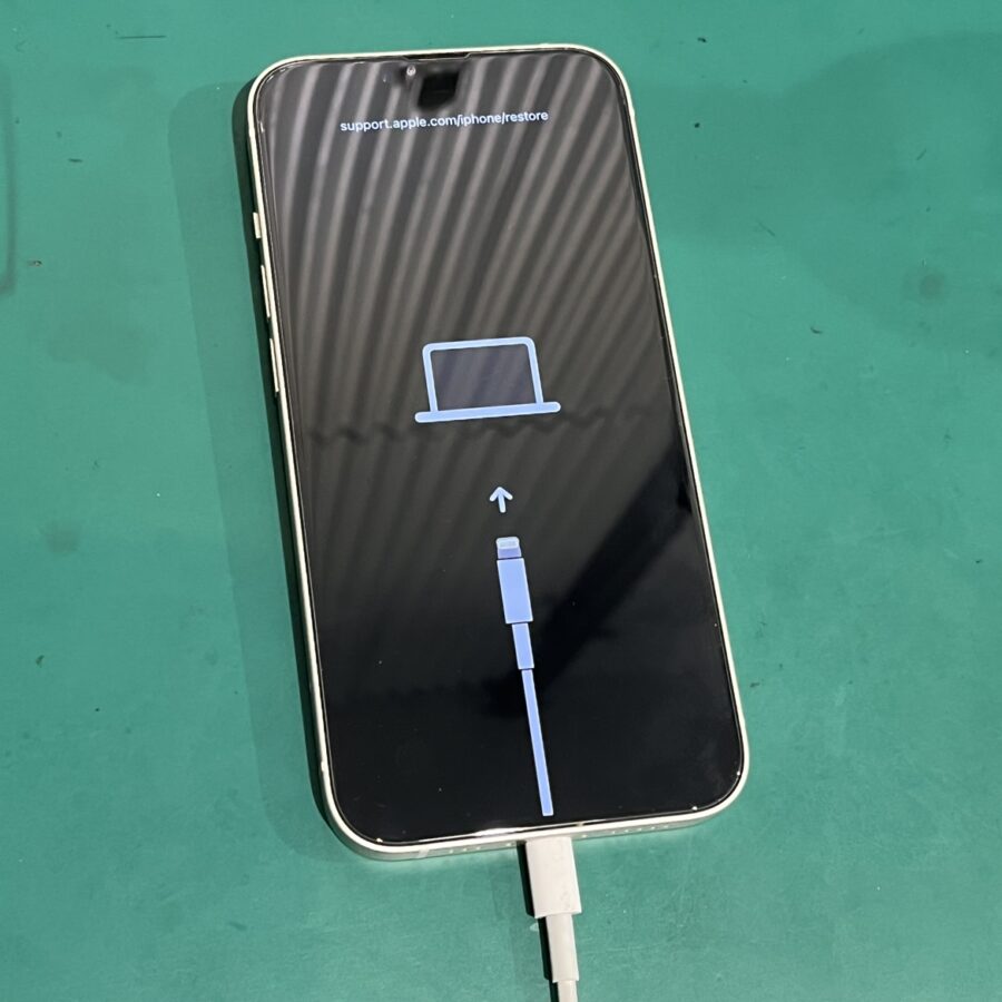 世にも恐ろしいiPhone（アイフォン）のリンゴループ。。。データを諦める前に修理工スマホ房渋谷店にご相談ください！