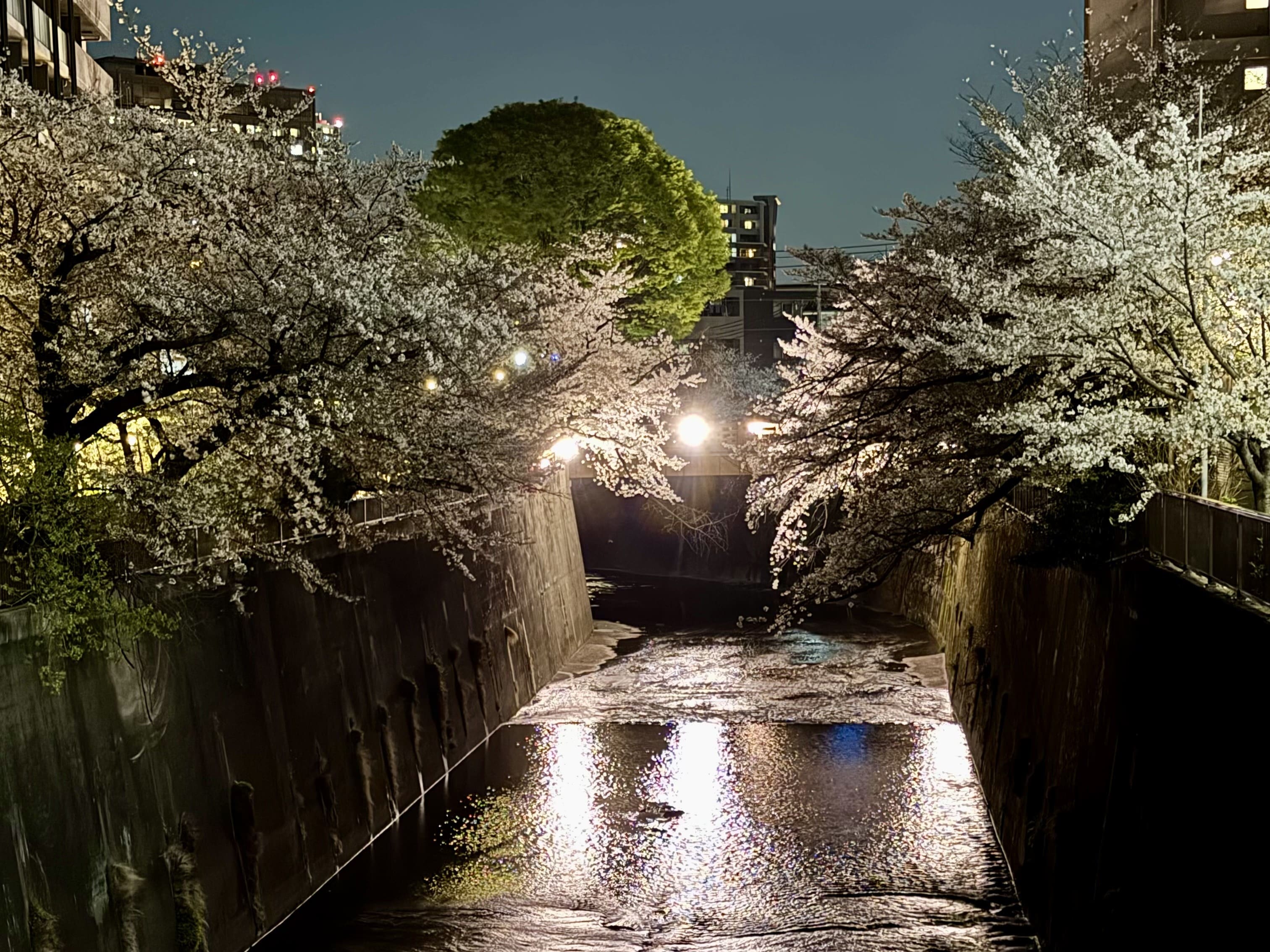 【スマホ修理工房 大山店】カメラレンズの傷やバッテリーの不調を即日修理しませんか？