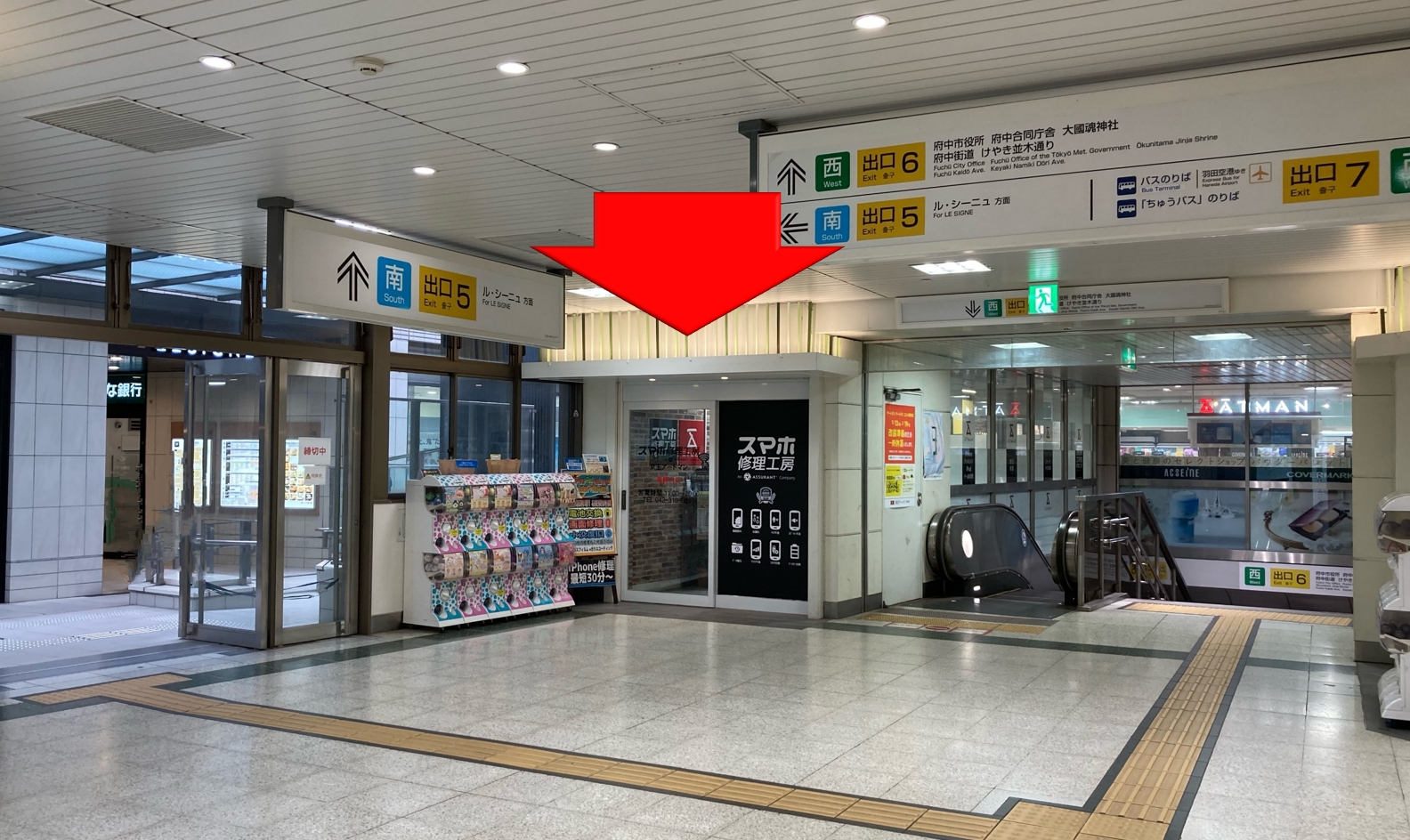 { 「出口５」と「出口６」の間に当店がございます。 }