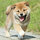 user_icon_photo