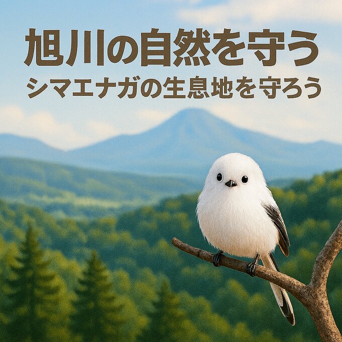 top-img-mobile