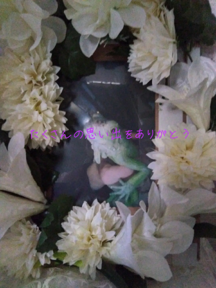 event_top-img