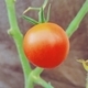 user_icon_photo