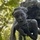 user_icon_photo