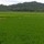 user_icon_photo