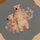 user_icon