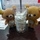 user_icon_photo