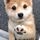 user_icon_photo