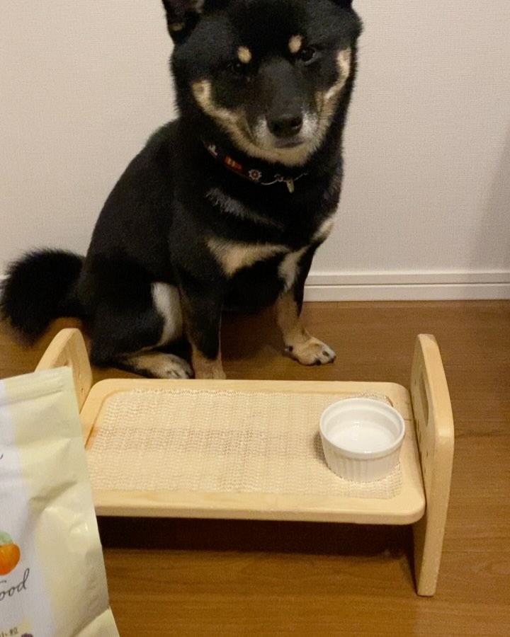 『ちゃー』 MISHIONE 小型犬用 1kg✕3 ミシュワン 成犬用ドッグフード（国産鶏肉＆馬肉入り） | ミシュワン