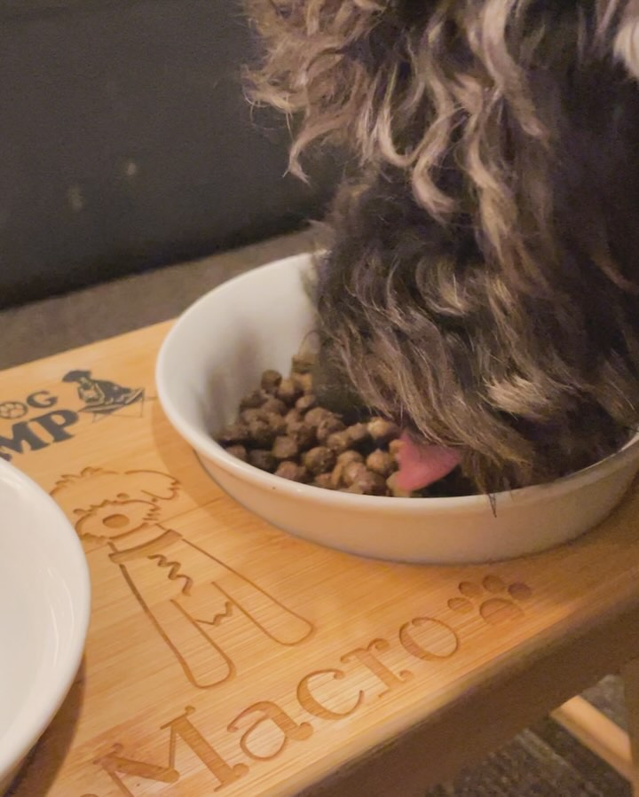 フェイヴワン 全犬種用ドッグフード（サーモン） | ミシュワンについて