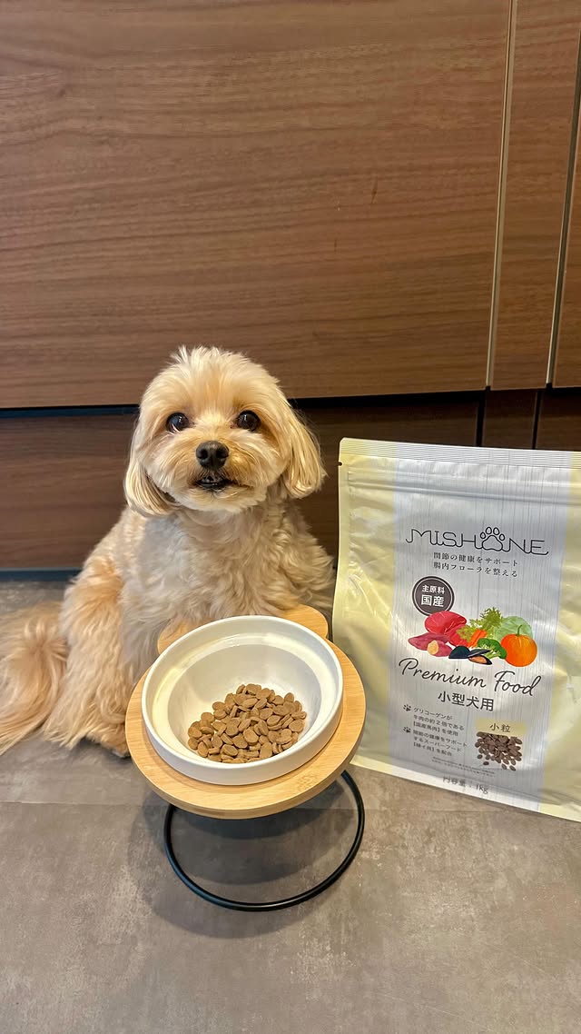 ミシュワン 成犬用ドッグフード（国産鶏肉＆馬肉入り