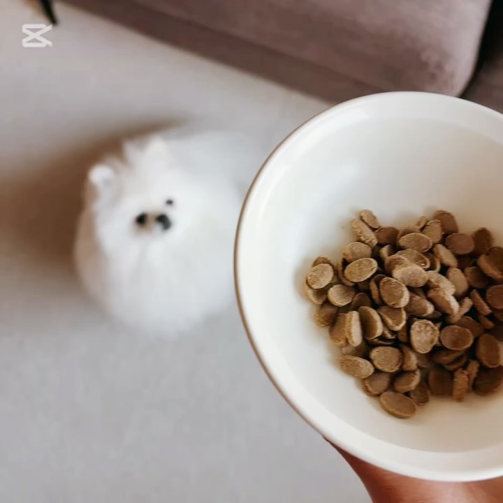 ミシュワン ドッグフード 小粒　1kg × 8袋 成犬用 (国産鶏肉＆馬肉) Amazon.co.jp: ミシュワン ドッグフード シニア犬用(国産鶏肉