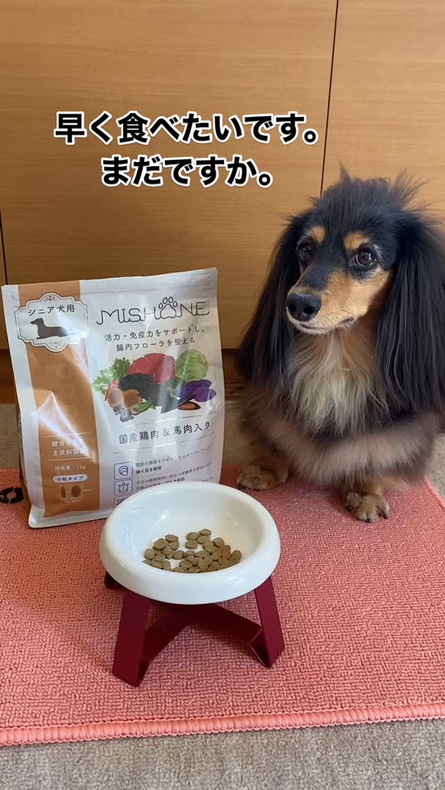 ミシュワン シニア犬用ドッグフード（国産鶏肉＆馬肉入り