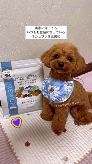 ミシュワン 成犬用ドッグフード（国産マグロ＆タラ） | ミシュワン