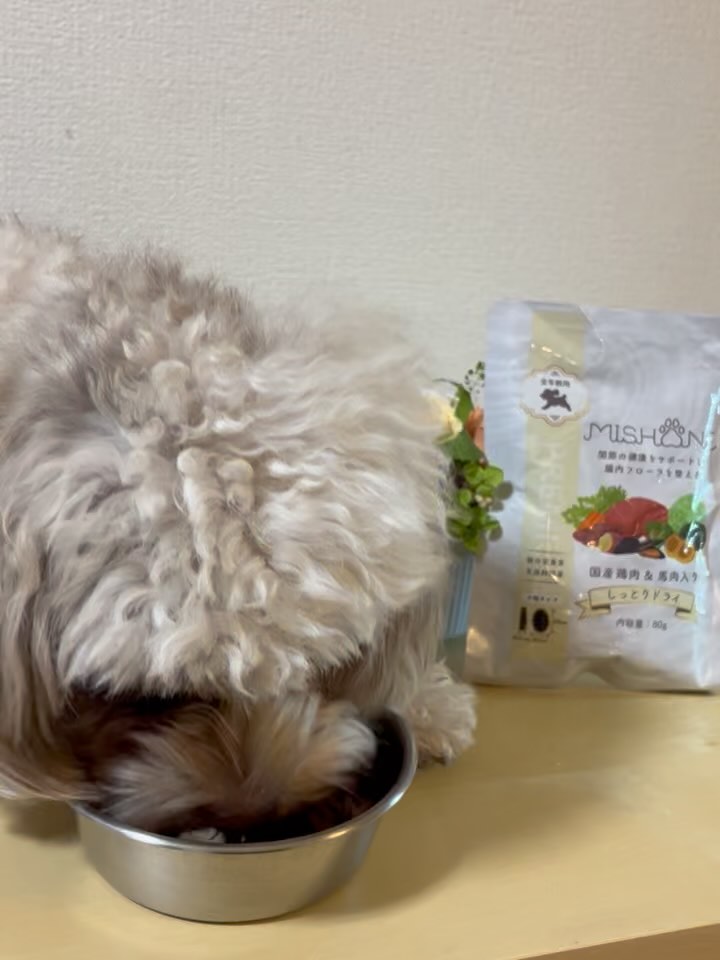 ミシュワン 全年齢用セミモイスト（国産鶏肉＆馬肉入り） | ミシュワン