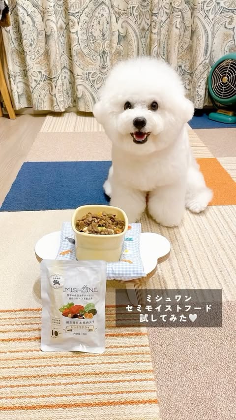 うまか セミモイストドッグフード 15kg うまか セミモイストドッグフード 15kg