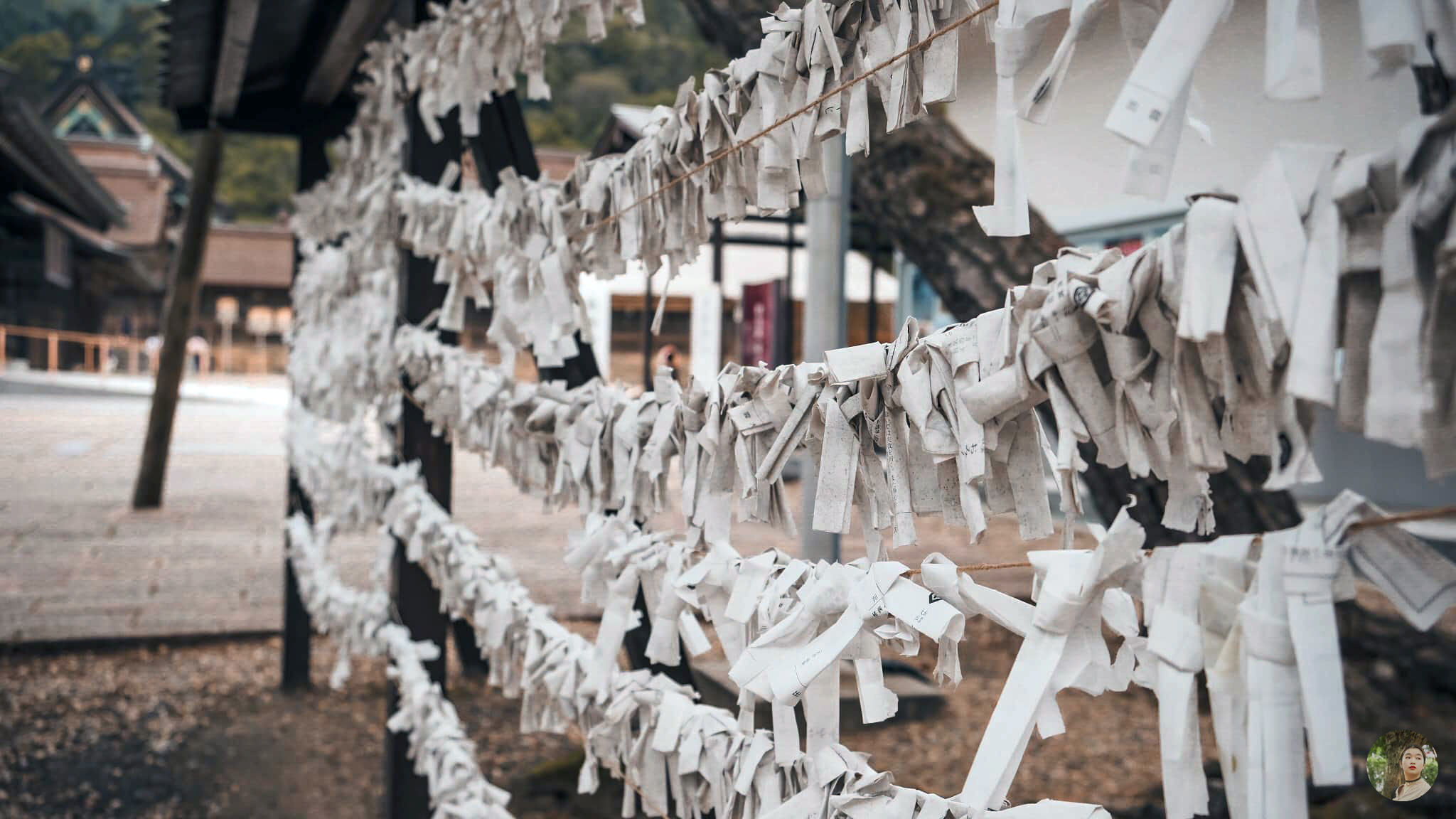 Những chiếc Omikuji được treo lại đền thờ hầu hết là quẻ