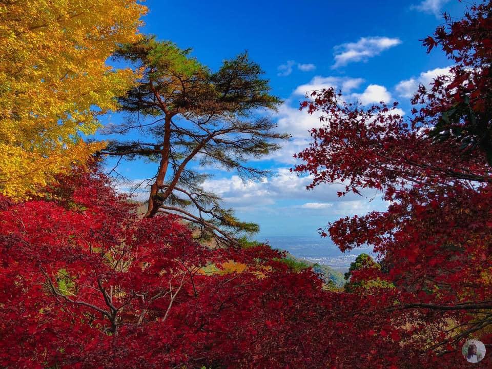 The autumn scenery on Mount Oyama