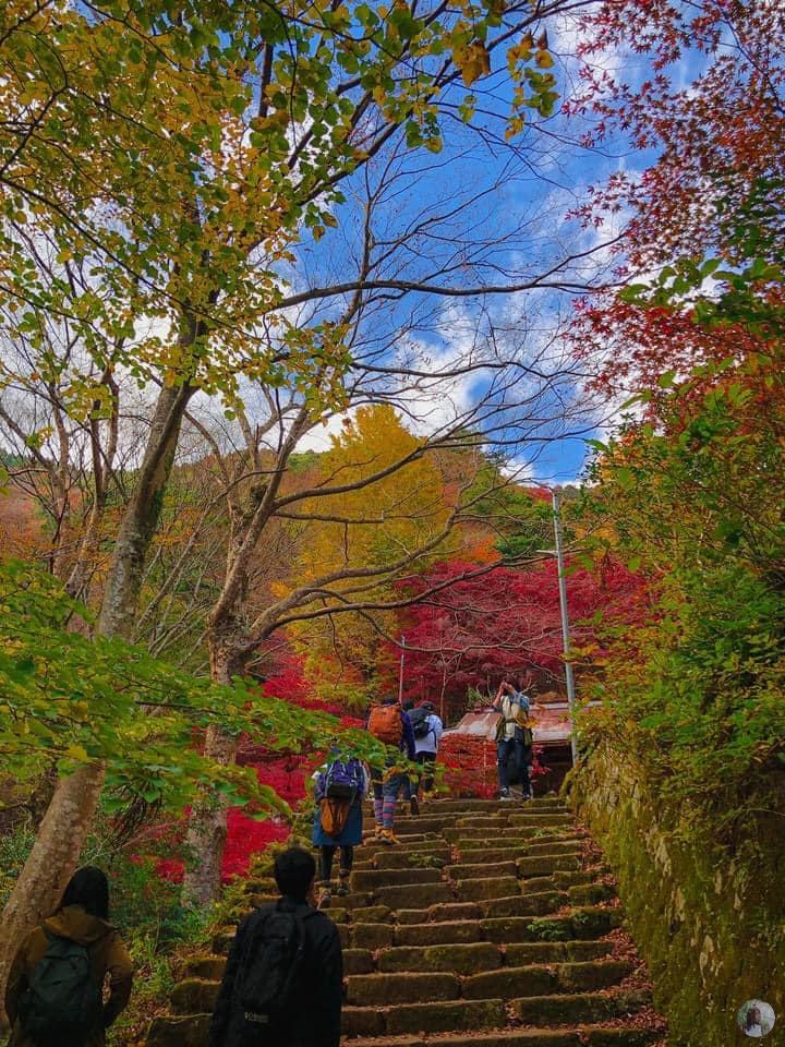 The path up the mountain is ancient stairs