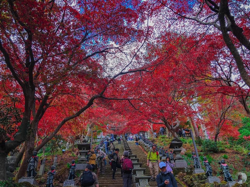 Visitors coming to the temple