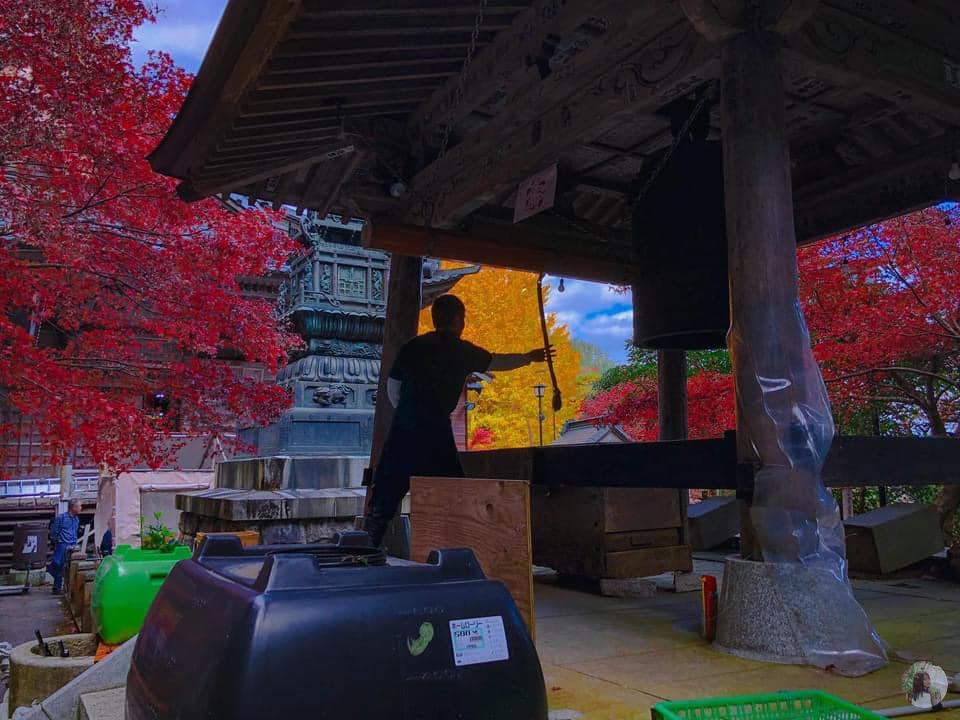 Red leaves mixed with yellow ones, creating a poetic autumn scene