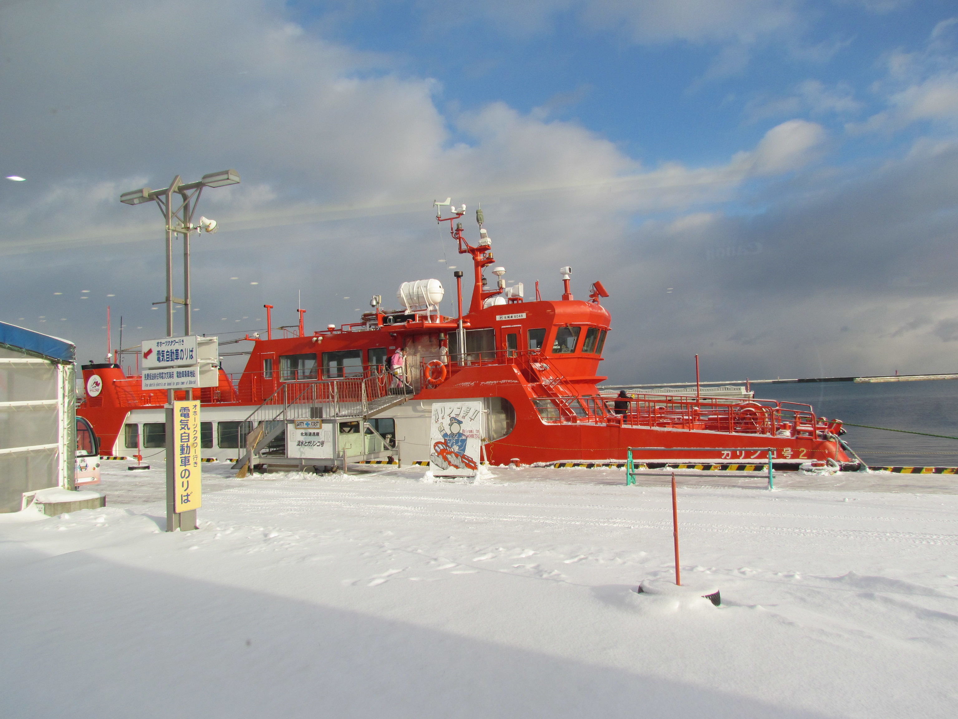 The flamboyant red color on the snowy white background