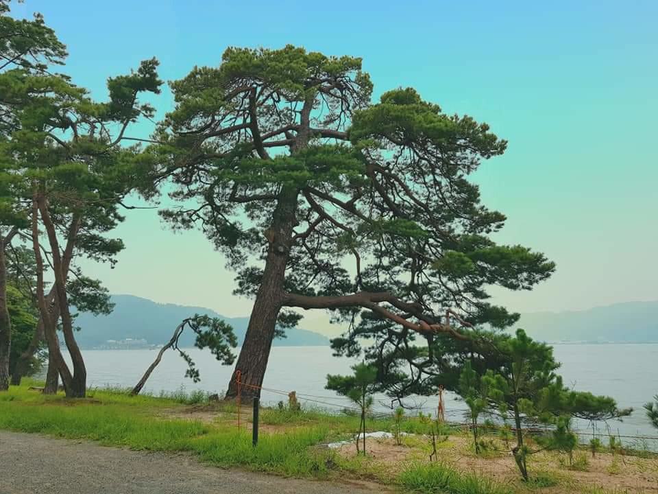 Cycling on the sea-parting road would be an unforgettable memory for each traveler